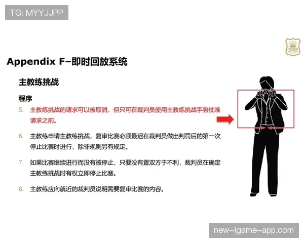 篮球技术犯规的规则定义与判罚后果