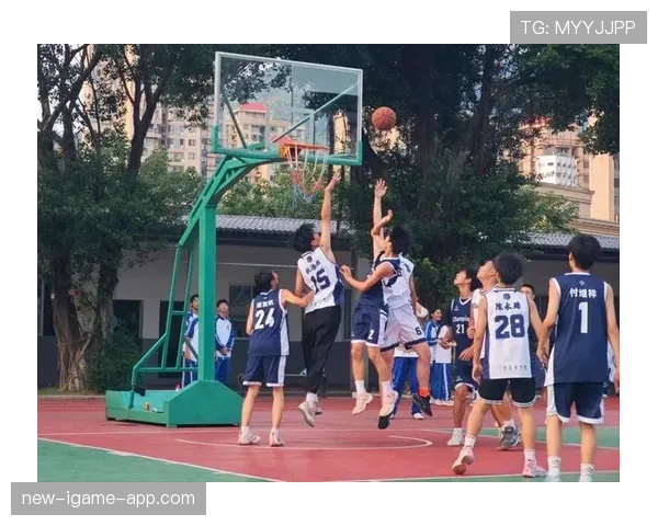 篮球比赛开始规则解析：跳球流程与执行标准